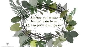 Citation La Force De La Foret Qui Pousse Te Laisse Pas Faire Citation Foret Arbre