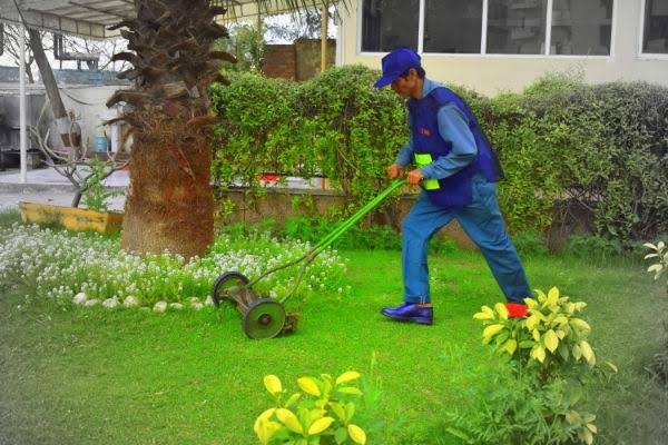 Horticulture Services