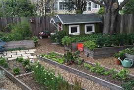 Get in on the best deals, new products and gardening tips. Best Raised Vegetable Garden Beds For Urban Gardening