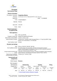 Curriculum vitae replace with first name(s) surname(s). 74 Europass Curriculum Vitae Page 5 Free To Edit Download Print Cocodoc