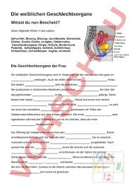 Die klitoris gehört zu den weiblichen geschlechtsorganen. Arbeitsblatt Weibliche Geschlechtsorgane Lebenskunde Sexualerziehung
