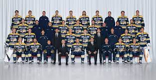 Hv 71 gör en ordentlig vårstädning. Hv71 Truppen 2018 2019 Hockeybladet Nu