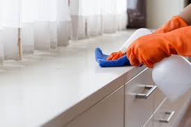 Check spelling or type a new query. Does Bleach Kill Bed Bugs Terminix
