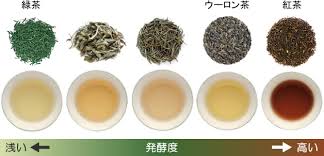 人種 計画 便利さ 紅茶 と お茶 の 違い Priceoita Jp