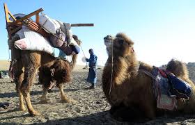 Ус урсдгаас уул ингэж урсана чинээ санасангүй » Page 17 » iNET.mn Фото  мэдээллийн портал