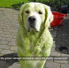 We did not find results for: Facebook