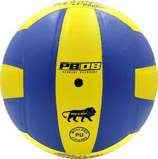Buy PB08 Winning Everyday Yellow, Blue Pu Volleyball For Kids Size- 3, Kids  With Inflation Online at Best Prices in India