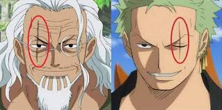 I HAVE A STRONG THEORY THAT RORONOA ZORO IS RAYLEIGH'S GRANDSON RORONOA  ZORO IS SHANKS SON AND SHANKS IS RAYLEIGH'S SON THE SCAR BOTH OF THEIR EYES  ARE THE STRONG EVIDENCE THAT