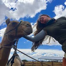 Convert between the units (mi → km) or see the conversion table. Traveltuesday Cattle Crude Cotton And Camels Tlm
