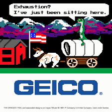 Even If The Gecko Doesn T Settle Out West You Could Save Money On Car Insurance Video Funny Gif Funny Memes Funny Pictures