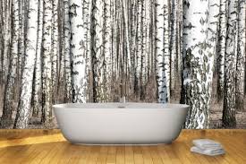 Birch Tree Wall Decal Canada H H Bosley 2020 Contest Wall Murals Tree Wall Murals Forest Mural