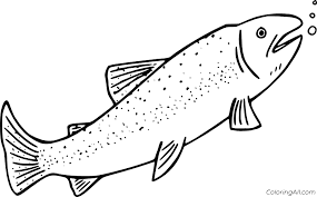 Preheat the oven to 375 degrees f. Trout Coloring Pages Coloringall