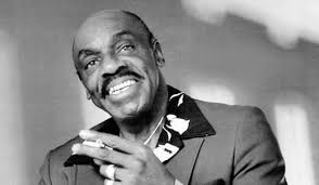 WBSS Media-Nappy Brown