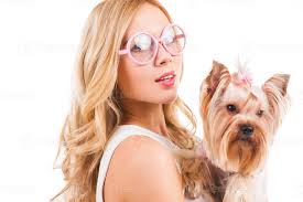 me e mio cane. bellissimo giovane biondo capelli donna trasporto yorkshire  terrier nel rosa Abiti e sorridente mentre in piedi isolato su bianca  sfondo 13541107 Stock Photo su Vecteezy