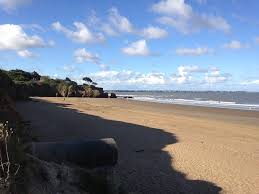 Alerte à l'algue toxique : Loire Atlantique La Peche A Pied De Loisirs Interdite Sur Tout Le Littoral Le Courrier Du Pays De Retz