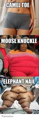 Nicki minaj and asap ferg, madeintyo move ya hips (2020). Camel Toe Moose Knuckle Meme Painted