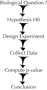 The Hypothesis Testing Paradigm Recommended By R A Fisher Starts With The Formulation Of A Null Hypothesis And The Design Of Null Hypothesis Biology P Value