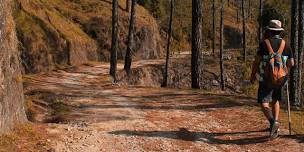 HOT SPRINGS H2GORUN!