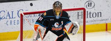 Betting stats and traditional stats for minnesota wild player joel eriksson ek, including game logs and historical stats. Eriksson Ek Stellar In Ahl Debut San Diego Gulls