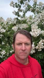 Whispering through the mountain mist — Rosa brunonii, the white Himalayan  Musk rose