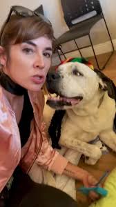 The Trick or Treat for Dogs: FFF Halloween Party! Committee and volunteers  really put