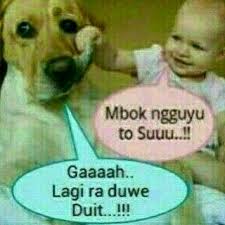 Guyonan Jowo Lucu Photos Facebook
