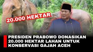 Sudaryono Bantah Tuduhan: Lahan Prabowo Malah Jadi Kawasan Lindung Gajah Terluas