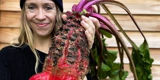 Meet mangelwurzel: The viral heirloom veggie taking over kitchen gardens in  2025