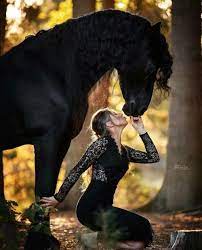 Check spelling or type a new query. Human Ponies Riding Mistresses Horse Photography Poses Horse Girl Photography Horses