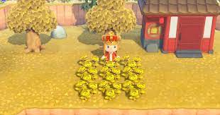 Read This Animal Crossing New Horizons Switch Acnh Guide On How To Get Golden Roses Including Golden Roses Selling Price Animal Crossing Golden Rose Rose