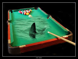 Pool Shark By Pixelcoma Pool Billiards Black Ops
