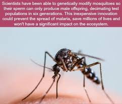 Fun Fact 5191 Fun Facts Wtf Fun Facts Funny Facts