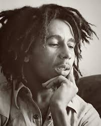 Why do governments restrict herb use?