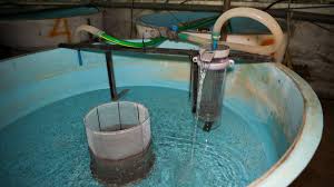 How Does A Bell Siphon Work Aquaponics Advisor