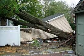 If your insurance adjuster approves your claim, they will submit paperwork and an initial check to cover replacement costs. Home Insurance Claims Is It Worth Making A Claim