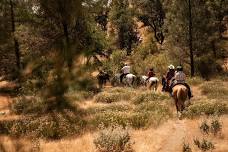 Dude Ranch Getaway — V6 Ranch
