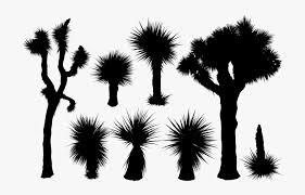 The best programs to draw christmas tree vectors are illustrator or photoshop, but you can save a lot of time by downlaoding the vectors and designs that we already have for you in vexels. Transparent Cactus Vector Png Joshua Tree Silhouette Vector Free Transparent Clipart Clipartkey