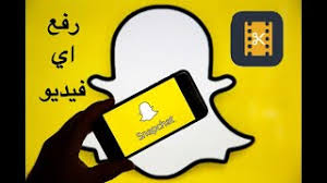 لجين عمران و الببغاء كيوي مقطع حلو من سناب لوجين أغاني mp3 مجانا