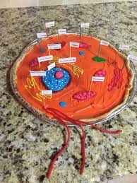 Maybe you would like to learn more about one of these? Giant Sugar Cookie Animal Cell Animal Cell Project Cells Project 3d Cell Project