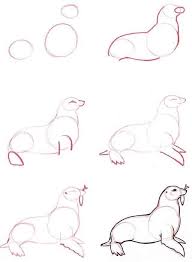 Drawing animals made amazingly easy. Qsfqpwagya49zm