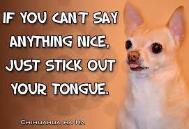 Find the best chihuahua quotes, sayings and quotations on picturequotes.com. Pin By Christine Tipou On Funny Images Quotes Chihuahua Funny Chihuahua Cute Chihuahua