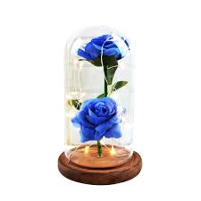High 13 wide 9 weight: Real Red Forever Rose In Glass Dome Beauty And The Beast Pink Rose Disney Themed Memorial Engagement Wedding Mother S Day Flower Gift 2019 Home Decor Floral Arrangements Delage Com Br
