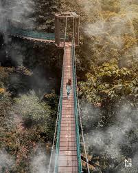 Hutan simpan bukit nenas (teman eko rimba kl). Roaming Man My Taman Eko Rimba Kl Kl Forest Eco Park Facebook