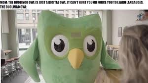 There are lots of reasons for that. Worst Part Is That Duolingo The Company Is Itself Doing It Memes