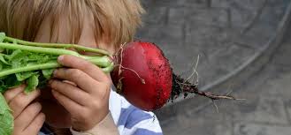 It depends on numerous factors, including on your own pet's tolerance towards acidity, as well as on the type of. The Dreaded Rats Suburban Tomato