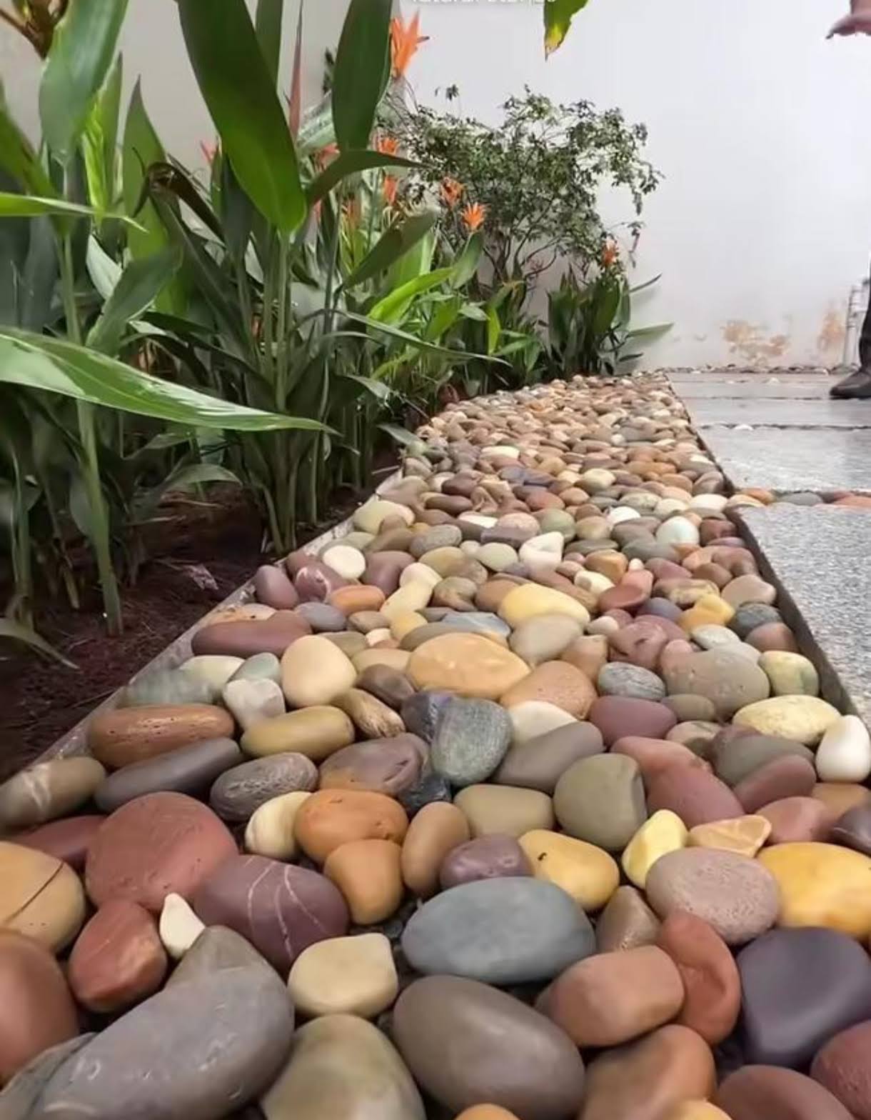 Natural River mix stone pebbels product image