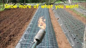 Maybe you would like to learn more about one of these? How To Install And Burn Holes In Landscape Weed Barrier Fabric Youtube