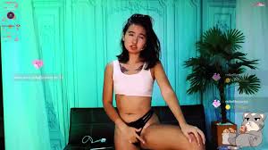 camHUB.cc