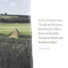 1 Peter 1 24 25 For All Flesh Is Like Grass And All Its Glory Like The Flower Of Grass The Grass Withers And The Flower Falls Off But The Word Of The Lord
