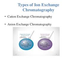 The following guidelines can be used for naming ionic compounds: Ion Exchange Chromatography